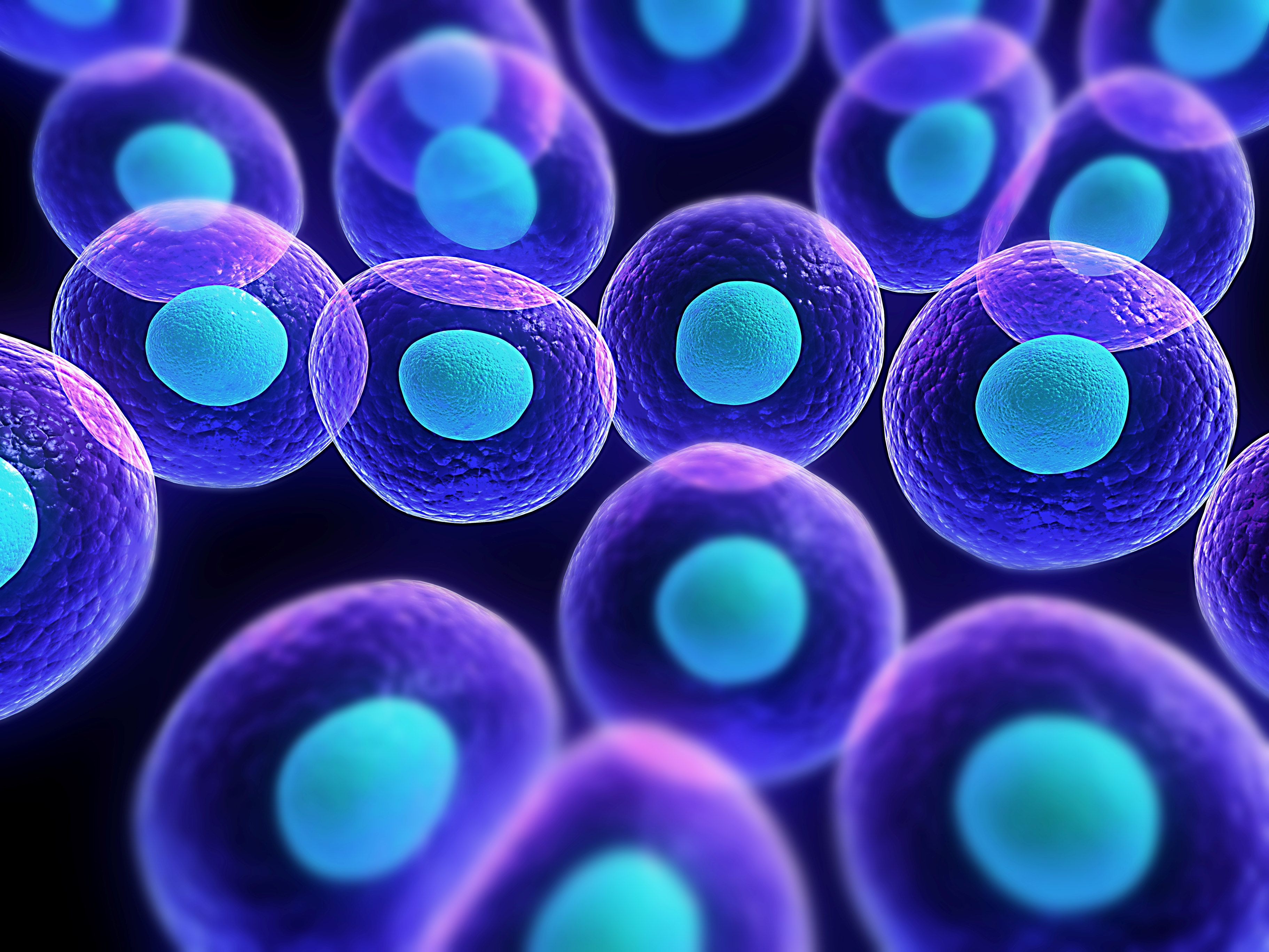 Cells have needs…..